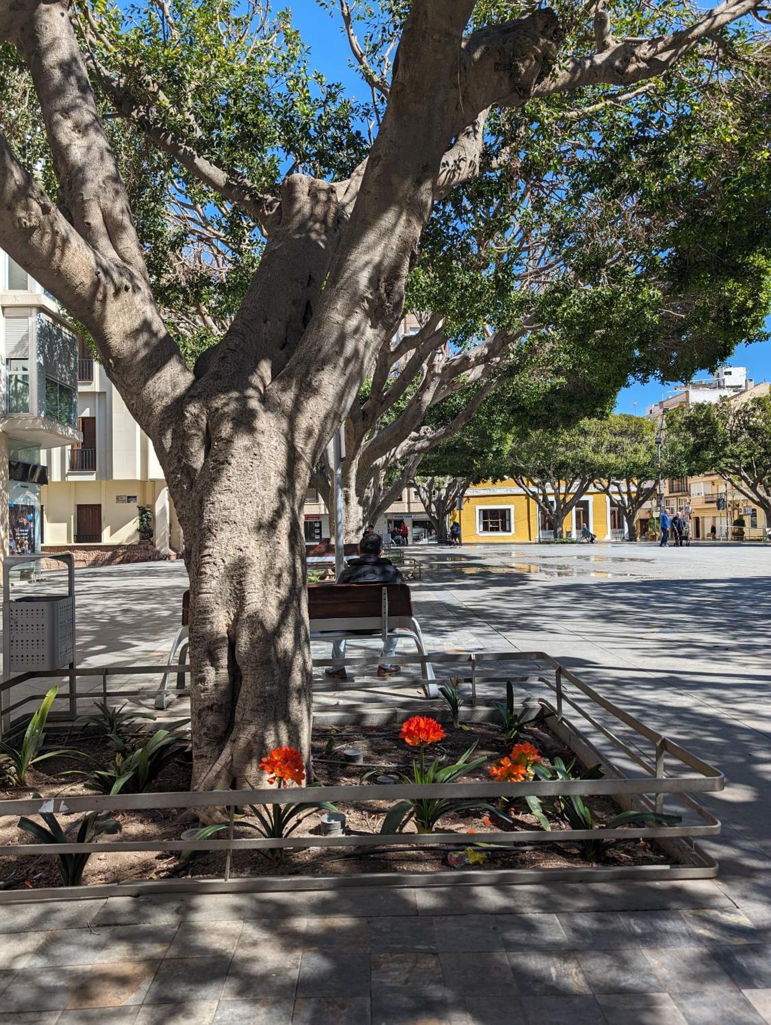 2 Bedroom Algorfa Townhouse With Pool Castillo de Montemar Exterior photo